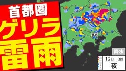 【東京首都圏】警報級 大雨のおそれ 12日(金)ゲリラ雷雨注意 気象庁「気象解説情報」【雨・発雷確率シミュレーション / 大雨警報と土砂災害警報の可能性】東京・神奈川・埼玉・千葉・群馬・栃木・茨城・山梨・長野|TBS NEWS DIG