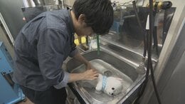 「フワフワ感が伝わってきた」　“ぬい活”ブームはクリーニング店にも　海外を含め年間1万体超をきれいに　山梨|TBS NEWS DIG