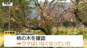 【動画】住宅敷地の柿の木から "別の" 住宅敷地の柿の木へ　クマ1頭を "緊急銃猟" で駆除（山形・長井市）|TBS NEWS DIG