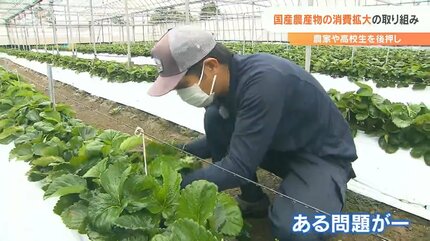 スローガンは「国消国産」食料自給率アップで農家や農業の未来を担う
