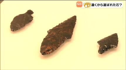 縄文石器 模写 257 石器 サンプル　黒曜石 縄文時代にプレゼント交換!?青森の三内丸山遺跡から北海道産の黒曜石