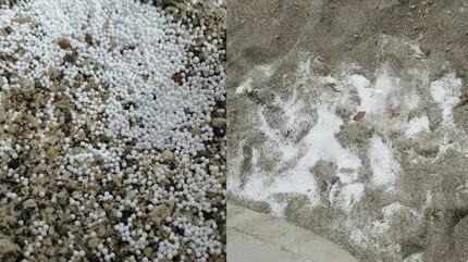 なんでこんなことができるんだろう」海岸にビーズクッションの中身が