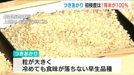 関東のスーパーで販売 早生品種『つきあかり』初検査の全量が一