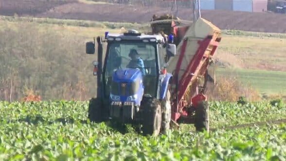 健康志向の高まりで需要減てん菜がピンチ、製糖工場も閉鎖…北海道農業の“甘くない現実”優しい甘みを適度に楽しく　|　北海道のニュース｜HBC北海道放送