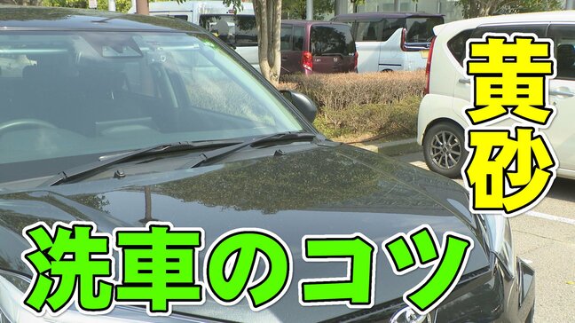 黄砂のNG“いきなり洗車機”は注意!プロに聞いた洗車のコツは?|TBS NEWS DIG