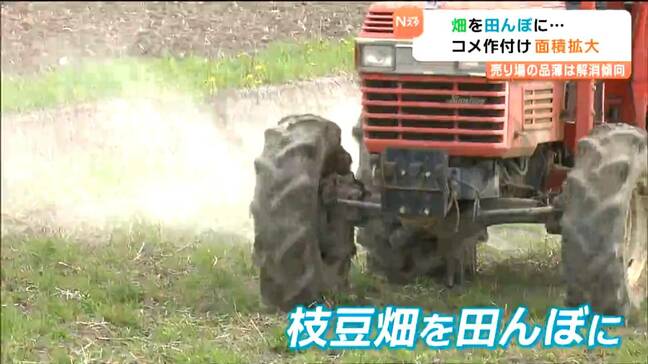 枝豆畑を田んぼに戻す農家 コメ不足解消へ 仙台でコメ供給安定 しかし、依然全国的に高値続く|TBS NEWS DIG