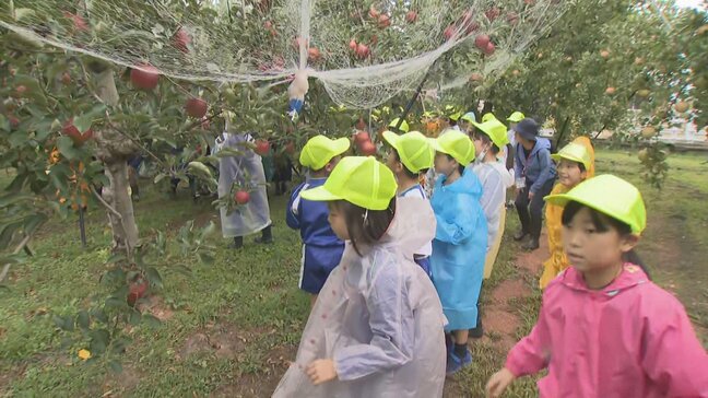 「家族みんなで食べたい」魚津市特産の「加積りんご」が収穫の時期　地元の小学生がリンゴの収穫を体験　富山|TBS NEWS DIG