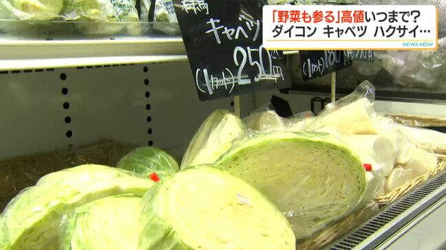 野菜が安くなるのはいつ? 夏場は高値傾向「野菜も暑さに参っている」 鹿児島|TBS NEWS DIG