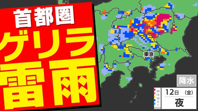 【東京首都圏】警報級 大雨のおそれ 12日(金)ゲリラ雷雨注意 気象庁「気象解説情報」【雨・発雷確率シミュレーション / 大雨警報と土砂災害警報の可能性】東京・神奈川・埼玉・千葉・群馬・栃木・茨城・山梨・長野|TBS NEWS DIG