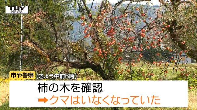 【動画】住宅敷地の柿の木から "別の" 住宅敷地の柿の木へ　クマ1頭を "緊急銃猟" で駆除（山形・長井市）|TBS NEWS DIG