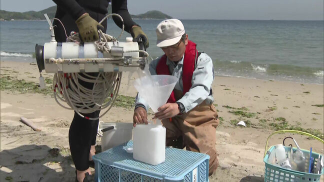 透明度も良好！　海水浴シーズンを前に水質調査　最も早い海開きは６月２０日能古島で　福岡市|TBS NEWS DIG