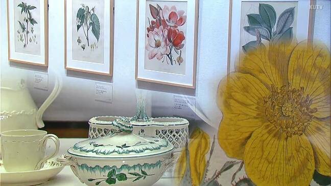 英国王室が育んだ芸術　ボタニカルアートと華麗なるウェッジウッドの世界　高知県立美術館で6月29日まで|TBS NEWS DIG