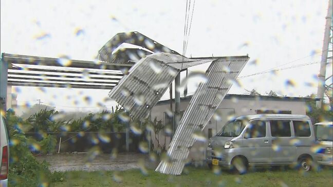 【台風6号】沖縄県で3人けが　飛来物が車に衝突、風にあおられて転倒など|TBS NEWS DIG