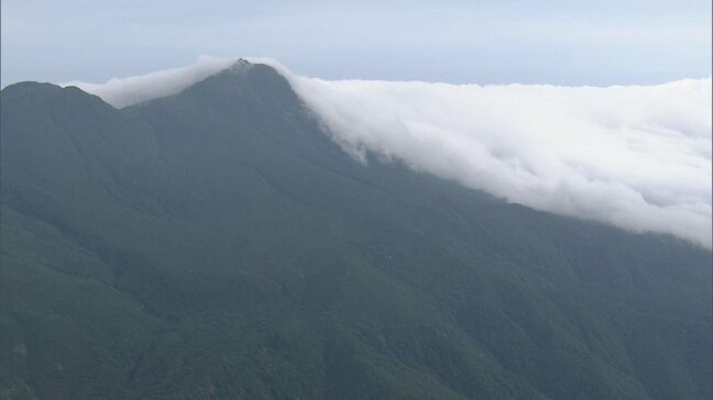 「クマよけスプレー」友人が使用試みるも噴射できずか…携行していたのは使用歴のある缶　北海道羅臼岳にヒグマに襲われ男性（26）死亡　現場付近はクマのエサとなるアリ発生ポイント|TBS NEWS DIG