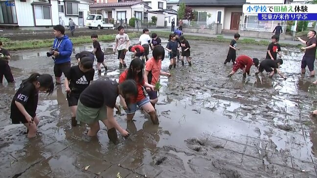 「土がぬるぬるして楽しい」小学校で米作りについて学ぶ授業 児童が田植えを体験 岩手・奥州市|TBS NEWS DIG