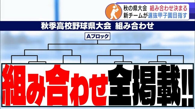 【2025】秋の高校野球・青森県大会 組み合わせ決定 青森山田・八戸学院光星・弘前学院聖愛・八戸工大一は…【全組み合わせ掲載・秋季東北地区高等学校野球青森県大会】|TBS NEWS DIG