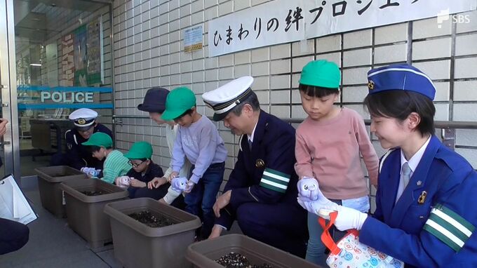 園児がひまわりの種まき交通安全学ぶ「ひまわりの絆プロジェクト」事故で亡くなった男児が育てた種を介し＝静岡県警|TBS NEWS DIG