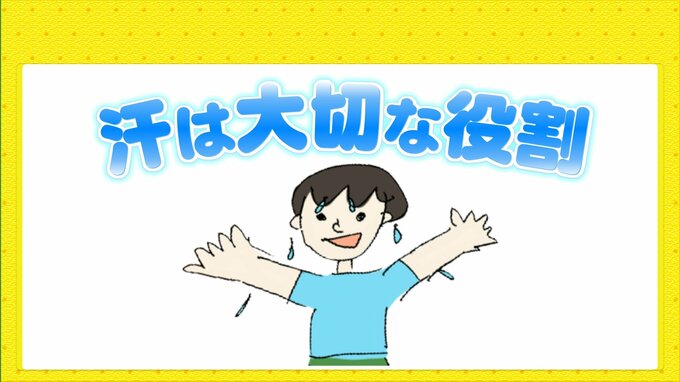 「汗」はこの時期 厄介でしかない？　いいえ 汗は大切な役割なんです　|　RCC NEWS | 広島ニュース | RCC中国放送