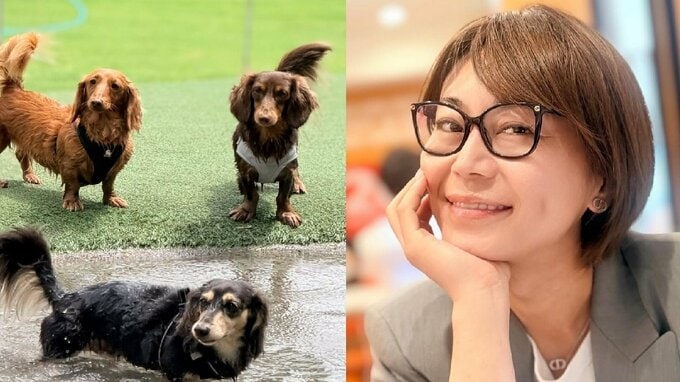 【 氷川きよし 】「親バカですんません」朝から走り回る愛犬たちとの日常を投稿「毎日、溺愛してます」|TBS NEWS DIG