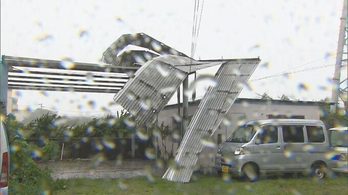 【台風6号】沖縄県で3人けが　飛来物が車に衝突、風にあおられて転倒など|TBS NEWS DIG