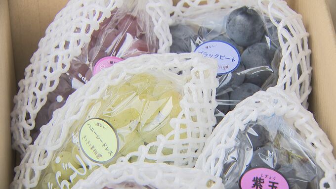 ひとあし早く秋の味覚！特産品のブドウとナシを届ける出発式「旬の果物しっかり味わって！」|TBS NEWS DIG