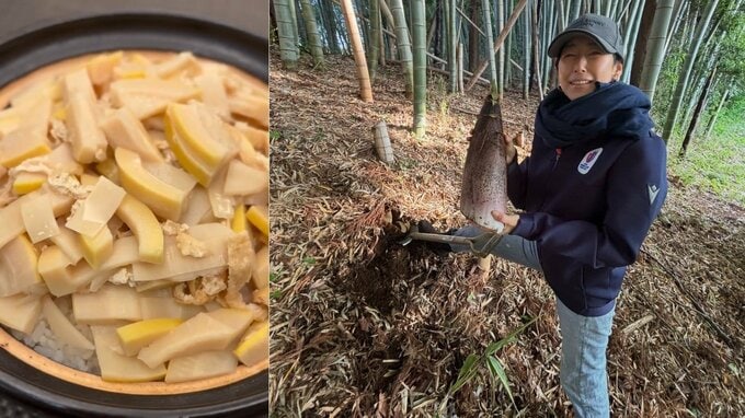 【 木村多江 】「たけのこづくし」「自然の恵み」掘ったたけのこで手料理三昧　フォロワー反応「癒やしの多江さま」「お腹空いてきました」|TBS NEWS DIG