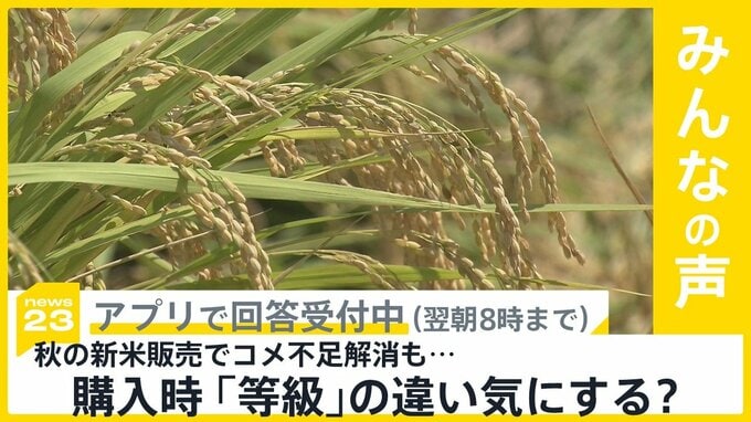 新米の販売でコメ不足解消も…購入時に「等級」の違い 気にする？【news23】|TBS NEWS DIG