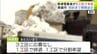 【青森市】生活道路の5工区で除排雪業者が決まっておらず…　「早いペースで決めていかないと間に合わない状況」契約までの期限迫る　市は応募の意向示した134業者と調整進め5工区の業者を早急に決めたい考え　|　青森のニュース│ATV NEWS│青森テレビ