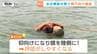 川や海での事故を防げ！ 親子向け特別講座「水辺の楽校」　いざという時の助け方、助けられ方を学ぶ（山形・寒河江市）　|　山形のニュース│TUYテレビユー山形