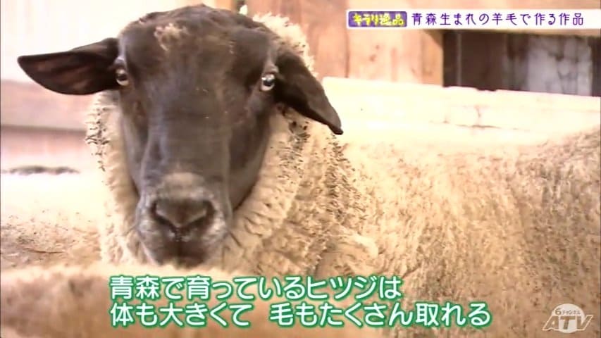 img_e6854899093f39e176d06f327c