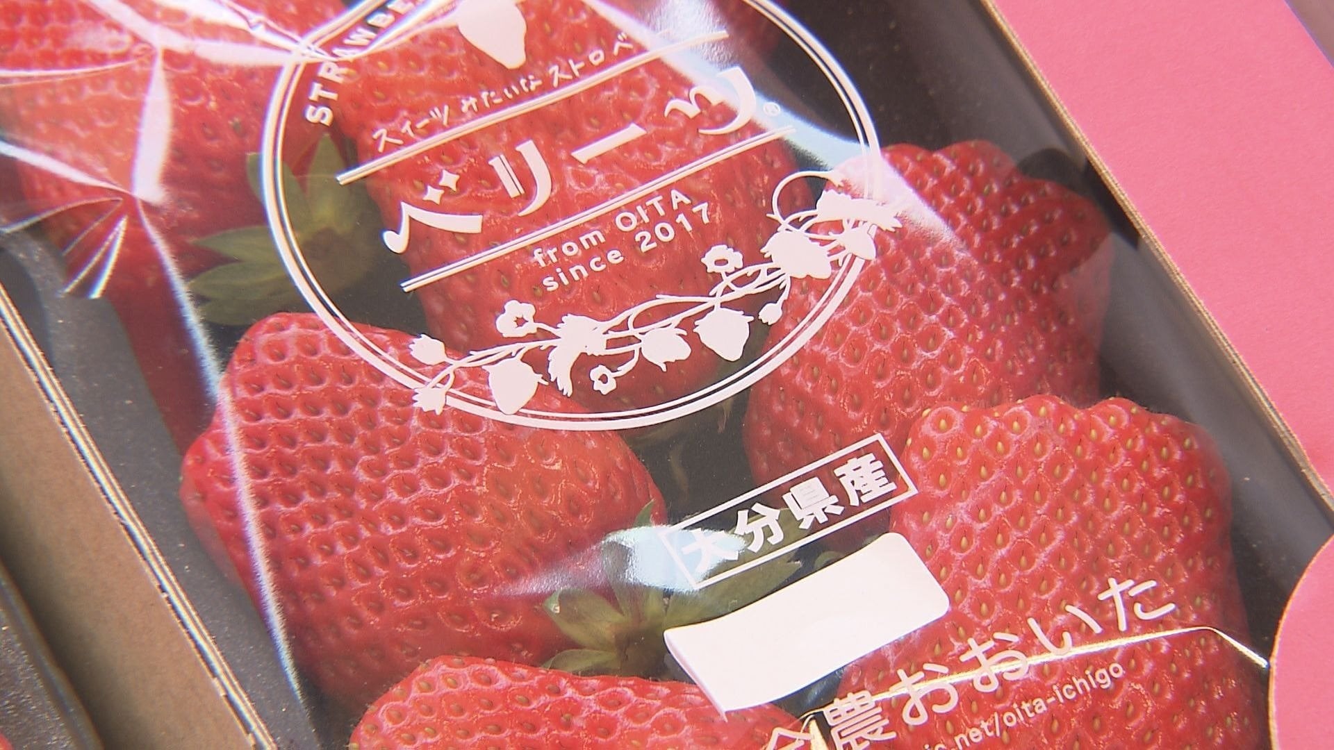 出荷のピークを前に 大分県産イチゴの品評会 | 大分のニュース｜OBS