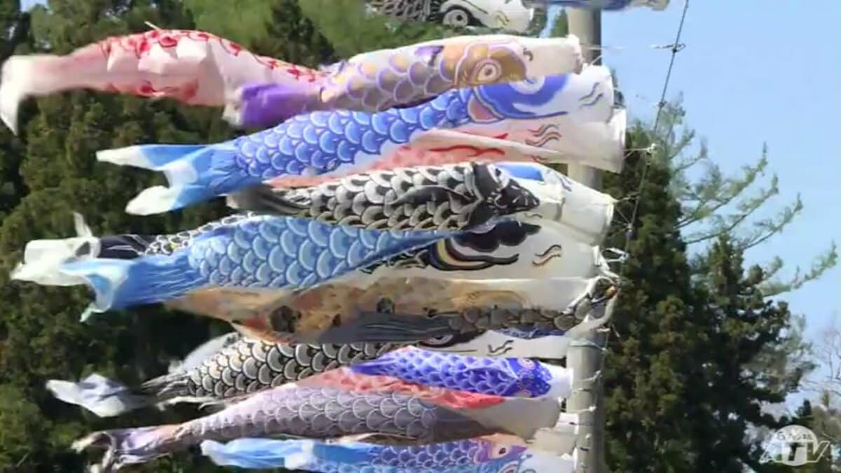 来年も再来年も見たい」156匹の鯉のぼり大空を遊泳 地域の春の風景目に