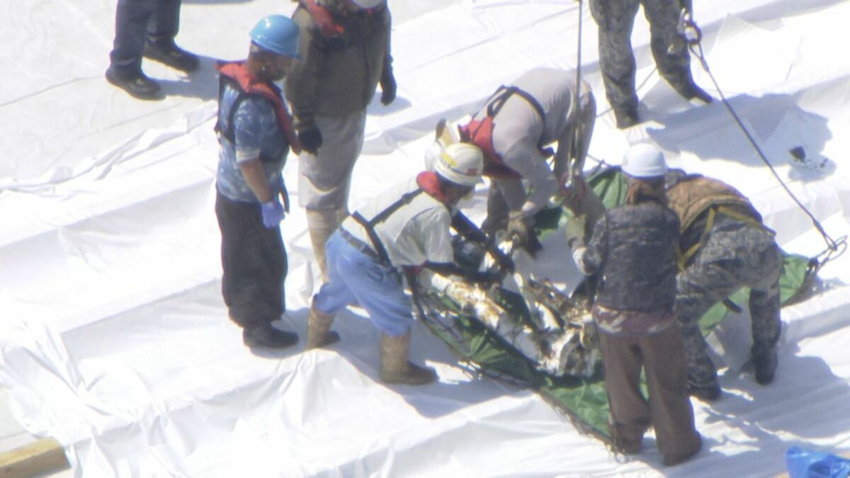 隊員2人死亡  入鹿池に墜落した航空自衛隊｢T‐4練習機｣ 機体の引き揚げ始まる  ９月末までに作業完了目指す 愛知･犬山市