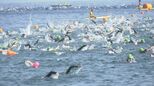 日本のトライアスロン発祥の地・皆生で熱戦 全国から鉄人１２２３人が出場|TBS NEWS DIG