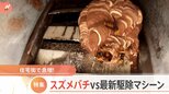猛暑で異変！？子どもも危険！民家に潜むステルススズメバチを秘密兵器で撃退！その現場に密着！|TBS NEWS DIG