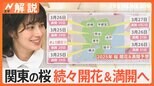 待ちに待った花見の季節!“ソロ花見”派も約3割 見上げれば気分も上がる?人を惹きつける桜の魅力【Nスタ解説】|TBS NEWS DIG