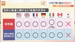 LGBT法案G7サミット前の成立は実現する?“先進国”カナダではパスポートにジェンダーXの選択欄も【Nスタ解説】|TBS NEWS DIG