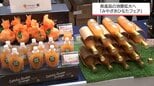 県内外の人に宮崎の食の魅力を 宮崎空港で「みやざきひなたフェア」|TBS NEWS DIG