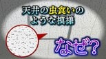 なぜ学校の天井は「虫食いのような模様」なの?半世紀以上も日本の建築を支える “ジプトーン” 素材に隠された機能性とは|TBS NEWS DIG