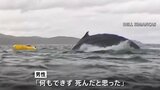クジラが男性をカヤックごと丸のみ「死んだと思った」 南米・マゼラン海峡|TBS NEWS DIG