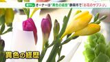 「よい香りするので楽しんで」異色の経歴を持つ男性が生花店オープン　魅力広げる“お花のサブスク”も＝静岡市葵区|TBS NEWS DIG