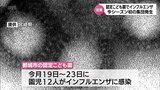 インフルエンザの集団発生　宮崎県内で今季初の確認|TBS NEWS DIG