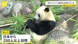 シャンシャンの8歳の誕生日 中国・四川省に日本人が行列!ファンが駆けつけ祝福|TBS NEWS DIG