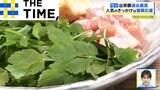 春の七草「セリ」にブーム到来!?「客の9割が頼む」絶品鍋や韓国セリ料理に行列【THE TIME,】|TBS NEWS DIG