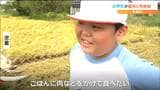 「ごはんに肉などをかけて食べたい」全校児童で稲刈り体験 収穫したコメはどう食べますか 宮城・大崎市|TBS NEWS DIG