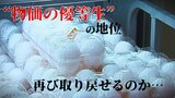 「優等生だと思っていました。今までは…」家計支えてきた『卵』“物価の優等生”に戻れるのか— 高値の背景に「えさの高騰」と「鳥インフルエンザ」 分割管理を導入の養鶏場も | 青森のニュース│ATV NEWS│青森テレビ