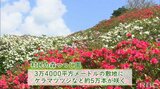 村民手作りの「つつじ園」で花いっぱいの東村 PA体験で仲間の絆を確かめる!【わがまちLink41】 | 沖縄のニュース|RBC 琉球放送