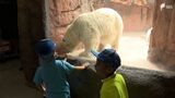 8月1日は開園記念日 日本平動物園が無料開放 朝から家族連れでにぎわう=静岡市 | 静岡のニュース | SBSNEWS | 静岡放送