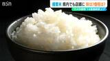 4軒目でようやく見つけた“備蓄米”「見た目変わらず その味は?」新潟県|TBS NEWS DIG