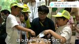 「はっけよい のこった!」 毎年恒例の『カブトムシすもう大会』 土俵上の“カブトムシ”にエール送る|TBS NEWS DIG